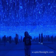 Bộ đèn sợi quang Led