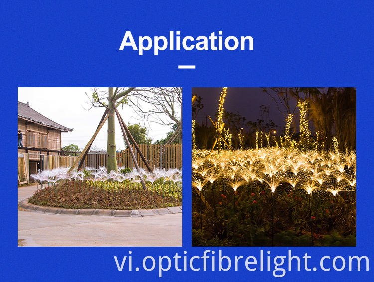 Đèn sậy Reeds Lamp