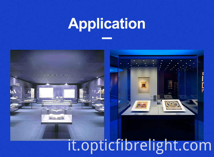 Display a fibra ottica Fiber Optic Display