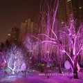 Fibre Optic Lighting Trees