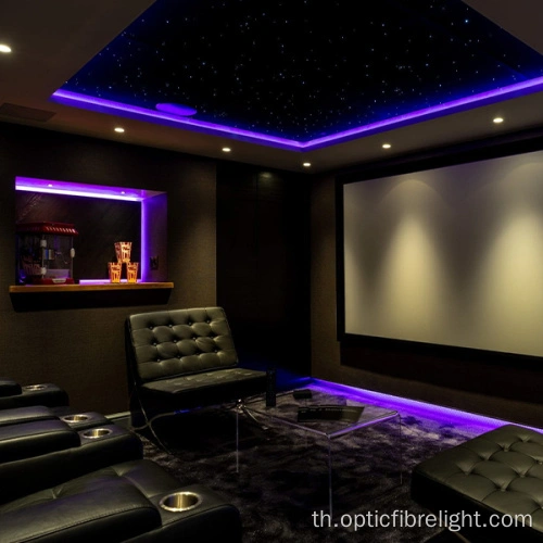 เรืองแสงด้านสายไฟเบอร์ออปติก PMMA