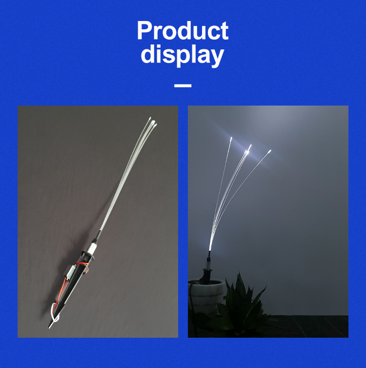 Firefly Light Firefly Light