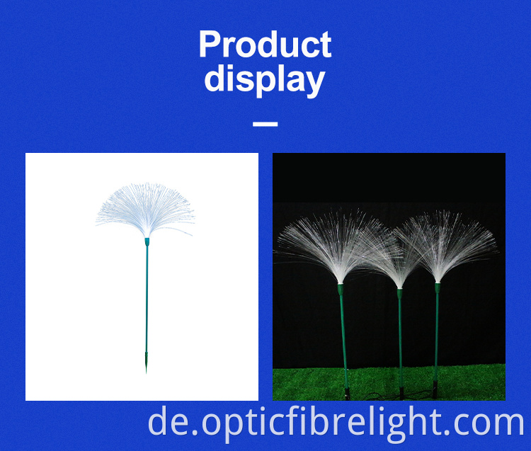 Schilflicht Reeds Light