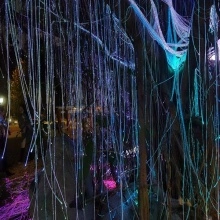 Fiber Optic Light Bulb Fiber Optic Kits For Garden Tree Factory