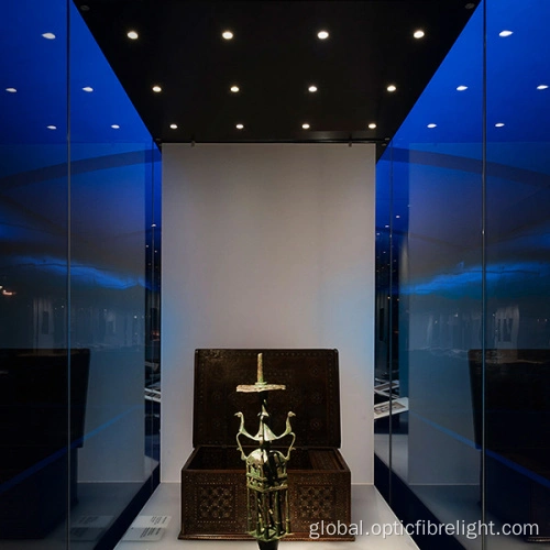 Museum Display Lighting Led fibre optic Light Museum display lighting Supplier