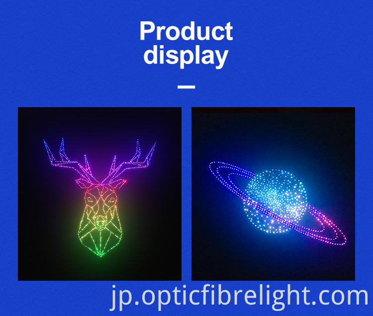 光ファイバー画像 Fiber Optic Picture