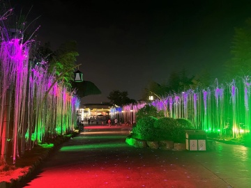 What are the different colors and effects that can be achieved with fiber optic lights?