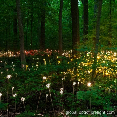 China Fiber Optic Lighting Outdoor Landscape Lighting for Holiday Supplier